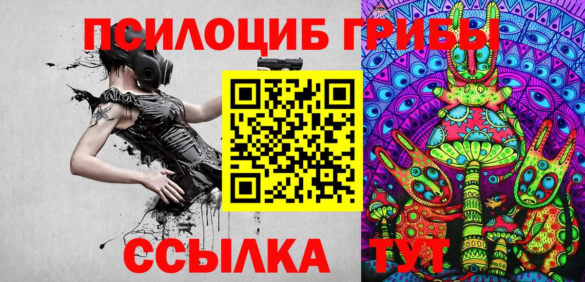 Псилоцибиновые грибы Cubensis Менделеевск