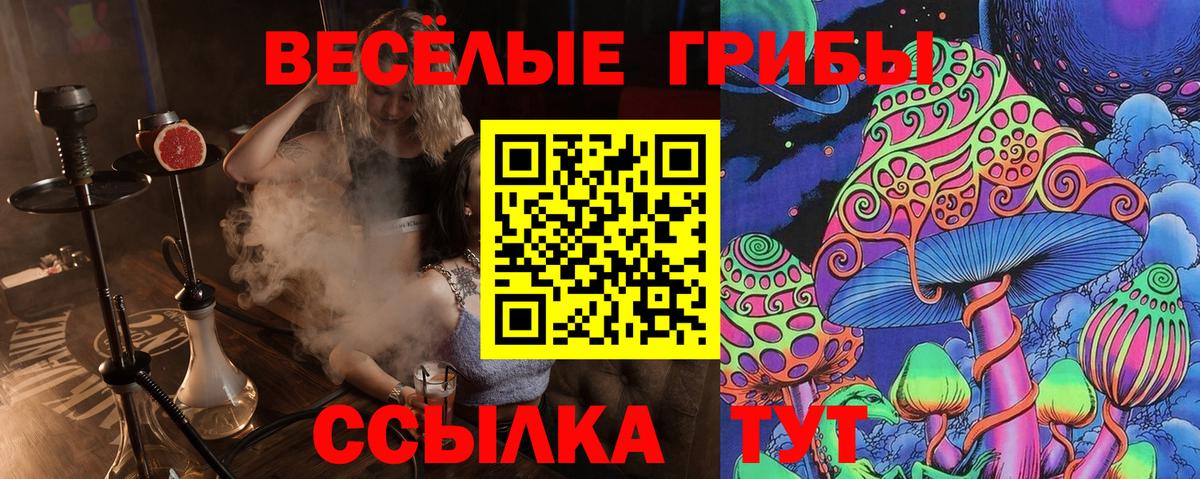 Галлюциногенные грибы прущие грибы  Вход с VPN  Менделеевск  Псилоцибиновые грибы Magic Shrooms 